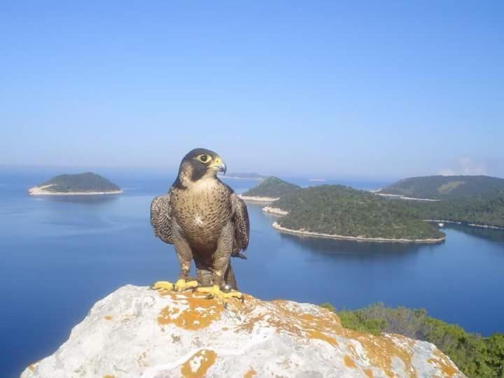 Dragovoda Bay Uble Exterior foto